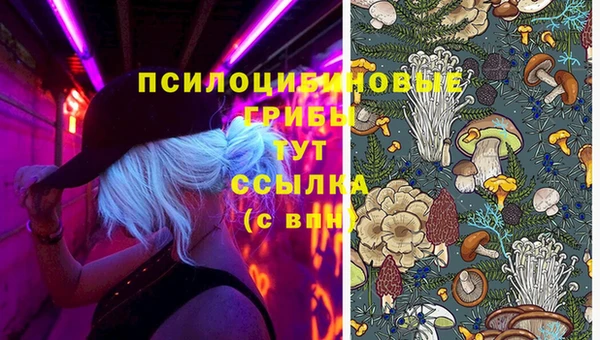 бутират Сосновка