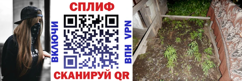 купить наркотики сайты  Нефтекумск  Каннабис Amnesia 